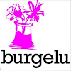 Negocio Residencia Geriatrica Burgelu